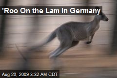 'Roo On the Lam in Germany
