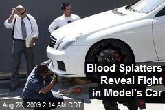 Blood Splatters Reveal Fight in Model's Car
