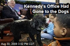Kennedy's Office Had Gone to the Dogs
