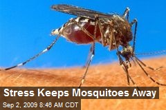Stress Keeps Mosquitoes Away