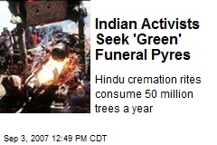Indian Activists Seek 'Green' Funeral Pyres