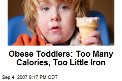 Obese Toddlers: Too Many Calories, Too Little Iron