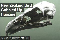 New Zealand Bird Gobbled Up Humans