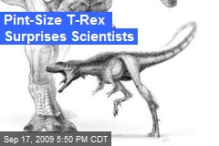 Pint-Size T-Rex Surprises Scientists
