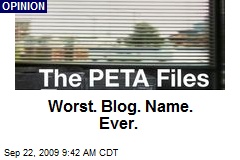 Worst. Blog. Name. Ever.