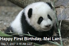 Happy First Birthday, Mei Lan!