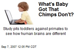 What's Baby Got That Chimps Don't?
