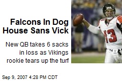 Falcons In Dog House Sans Vick