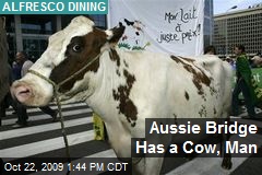 Aussie Bridge Has a Cow, Man