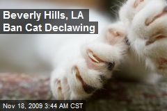 Beverly Hills, LA Ban Cat Declawing