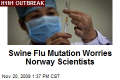 Swine Flu Mutation Worries Norway Scientists