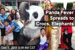 Panda Fever Spreads to Crocs, Elephants