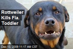 Rottweiler Kills Fla. Toddler