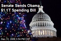Senate Sends Obama $1.1T Spending Bill