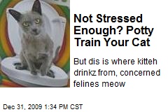 Not Stressed Enough? Potty Train Your Cat