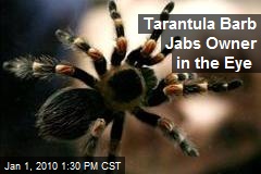 Tarantula Barb Jabs Owner in the Eye