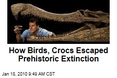 How Birds, Crocs Escaped Prehistoric Extinction
