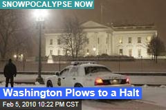 Washington Plows to a Halt