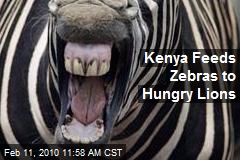 Kenya Feeds Zebras to Hungry Lions