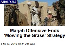 Marjah Offensive Ends 'Mowing the Grass' Strategy
