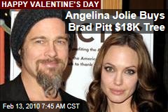 Angelina Jolie Buys Brad Pitt $18K Tree