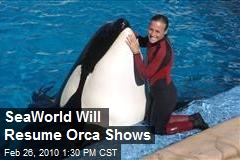 SeaWorld Will Resume Orca Shows