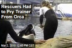 Rescuers Had to Pry Trainer From Orca