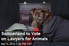 Switzerland to Vote on Lawyers for Animals