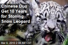 Chinese Duo Get 10 Years for Stoning Snow Leopard