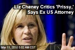 Liz Cheney Critics 'Prissy,' Says Ex US Attorney