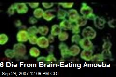 6 Die From Brain-Eating Amoeba