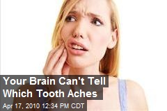 Your Brain Can't Tell Which Tooth Aches