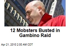 12 Mobsters Busted in Gambino Raid