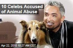 10 Celebs Accused of Animal Abuse