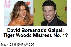 EXCLUSIVE: David Boreanaz's FIRST Affair Was With Tiger Woods' Mistress! | RadarOnline.com