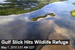 Gulf Slick Hits Wildlife Refuge