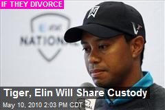 Tiger, Elin Will Share Custody