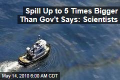 Experts: Spill Up to 5 Times Bigger Than Gov't Says