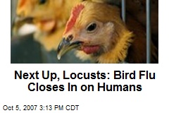 Next Up, Locusts: Bird Flu Closes In on Humans