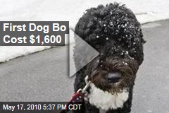 First Dog Bo Cost $1,600