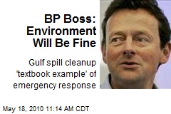 BP Boss: Environment Will Be Fine
