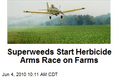 Superweeds Start Herbicide Arms Race on Farms
