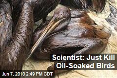 Scientist: Just Kill Oil-Soaked Birds