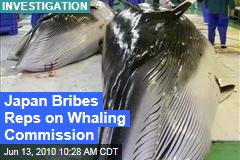 Japan Bribes Reps on Whaling Commission