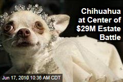 Chihuahua at Center of $29M Estate Battle