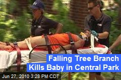 Falling Tree Branch Kills Baby in Central Park
