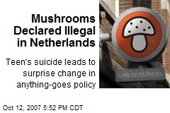Mushrooms Declared Illegal in Netherlands