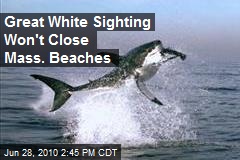 Great White Sighting Won't Close Mass. Beaches