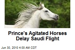 Prince's Agitated Horses Delay Saudi Flight