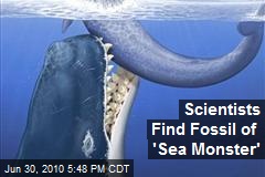 Scientists Find Fossil of 'Sea Monster'